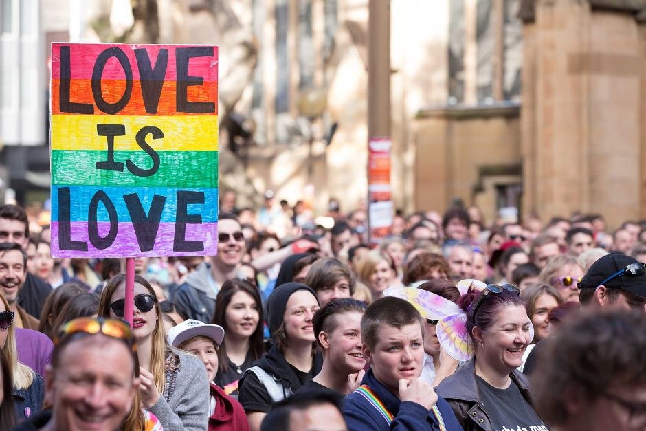 Pro gay marriage organizations Transgender sex story